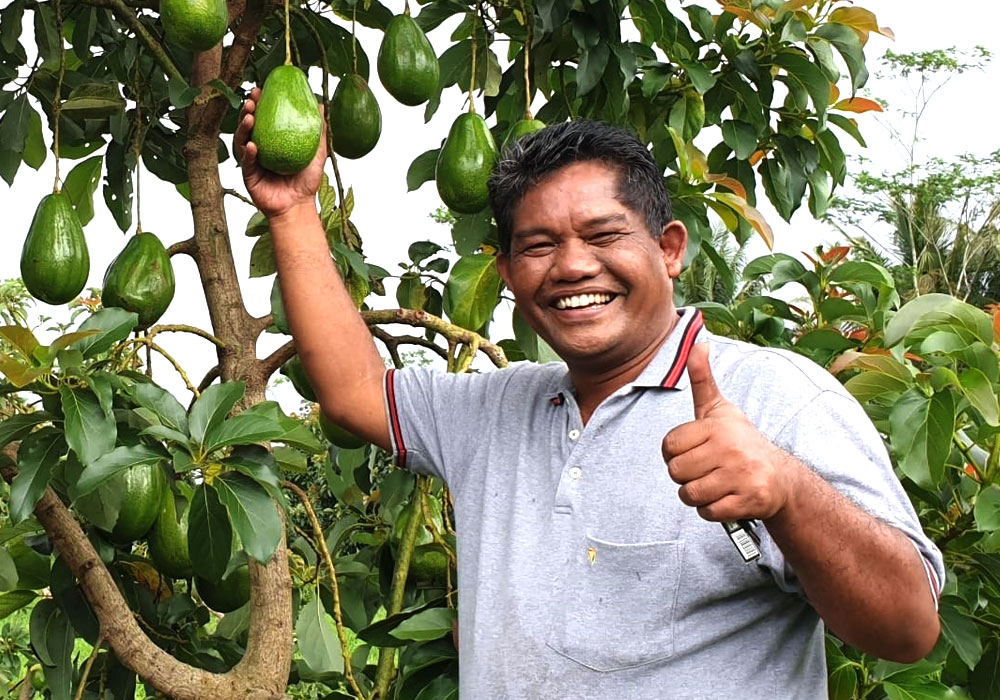 Read more about the article Ir. M Zein Ginting : LapakBuah.com, pangkas jalur distribusi dari kebun buah langsung ke konsumen