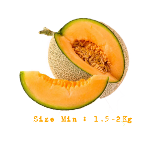MELON ORANGE (ROCK)