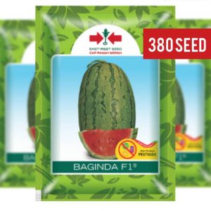 Benih Semangka Oblong Baginda F1/Bungkus