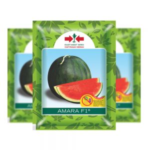 Benih Semangka Non Biji Amara / Bungkus