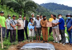 Read more about the article Penyemaian Bibit Demoplot Terpadu bersama Lapakbuah.com