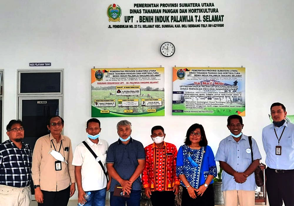 Read more about the article LapakBuah.com gandeng Bank Sumut dan UPT BI Palawija Untuk Swadayakan Palawija SUMUT