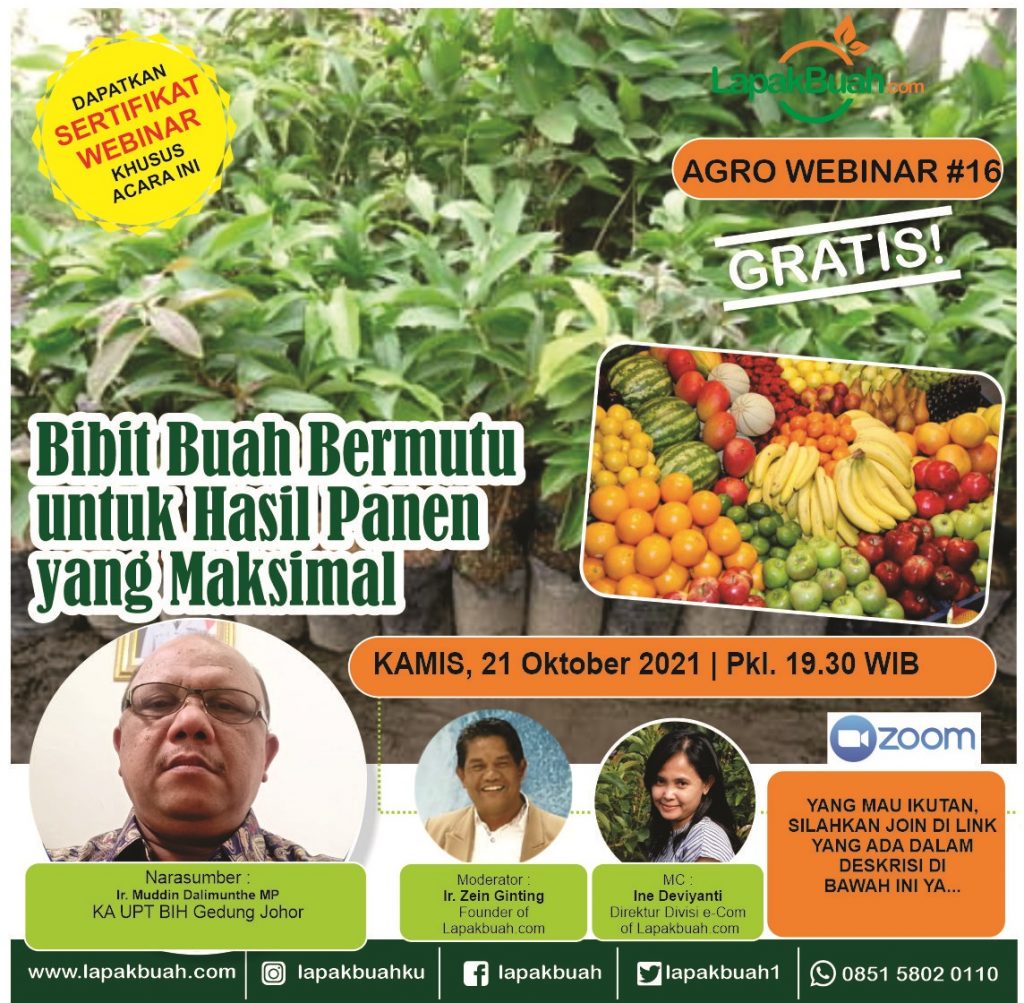 Agrowebinar lapakbuah