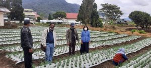 Read more about the article Kunjungan Koperasi Produsen Kawasan Pertanian Terpadu ke Balitsa Tongkoh (Brastagi)