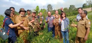 Read more about the article Kemenko Perekonomian RI, akan Synergikan Para Stake Holder pada  “Soft Lounching – Program 1,500Ha KPT – Deli Serdang October 2022 “
